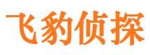 吉隆侦探公司